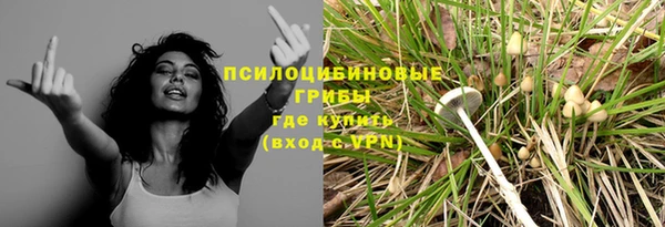 круглые Абаза